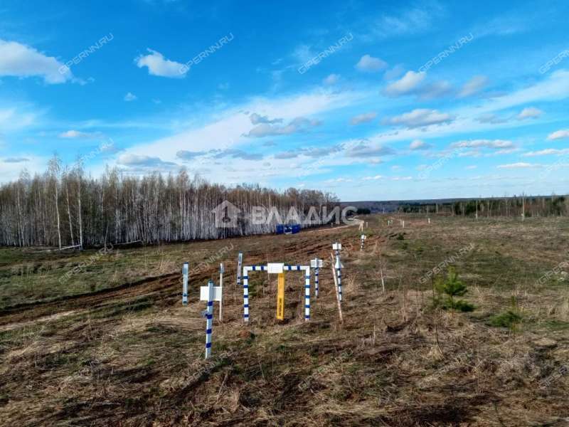 земельный участок 1 000 соток деревня Инютино